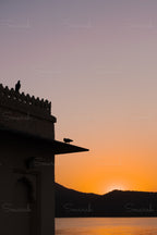 Sunset Silhouettes, Udaipur